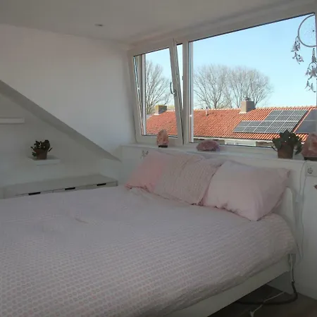 Paradijsje In Alkmaar