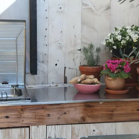 Paradijsje In * Alkmaar