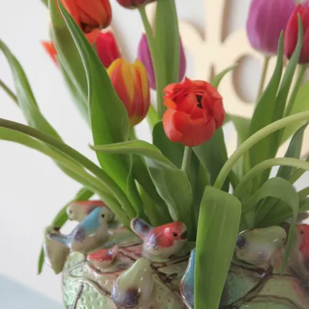 Casa de Férias Paradijsje In *